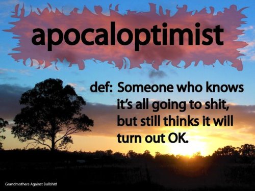 apocaloptimist